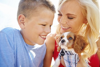 Parent and child with dog